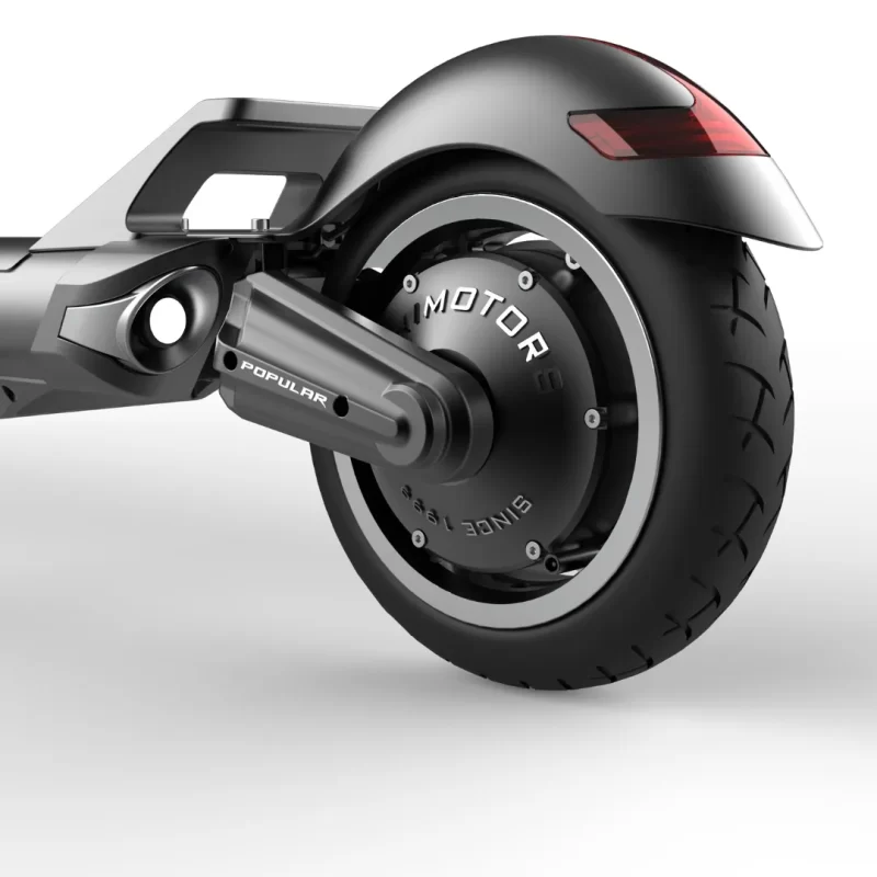 Scooter Eléctrica Dualtron Popular Dual - Imagen 5