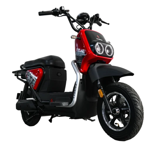 Bicicleta eléctrica Evobike Polar