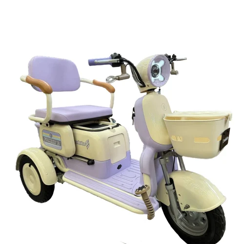 Bicicleta eléctrica Evobike Family Q