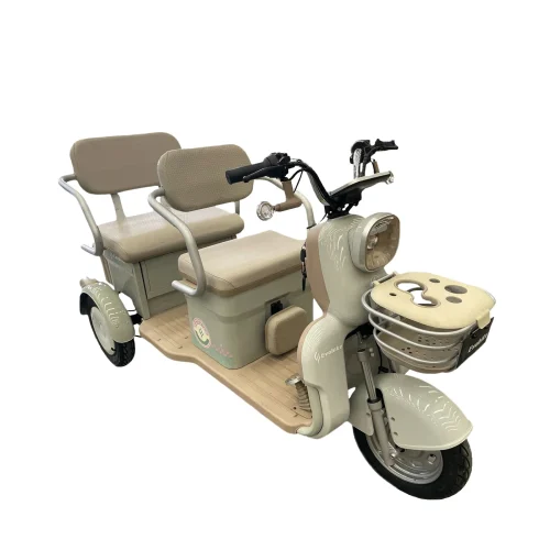 Bicicleta Eléctrica Evobike Family Q Plus