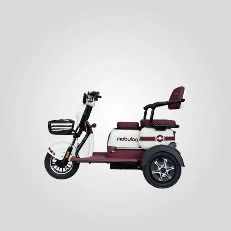 Triciclo Eléctrico Mobulaa M1 - Imagen 4