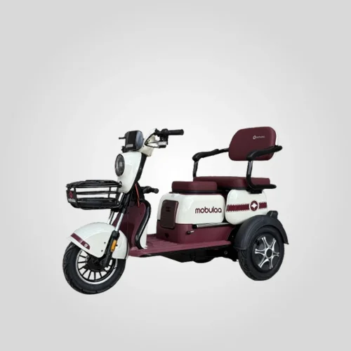 Triciclo Eléctrico Mobulaa M1