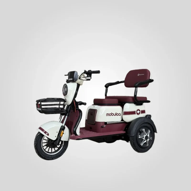 Triciclo Eléctrico Mobulaa M1